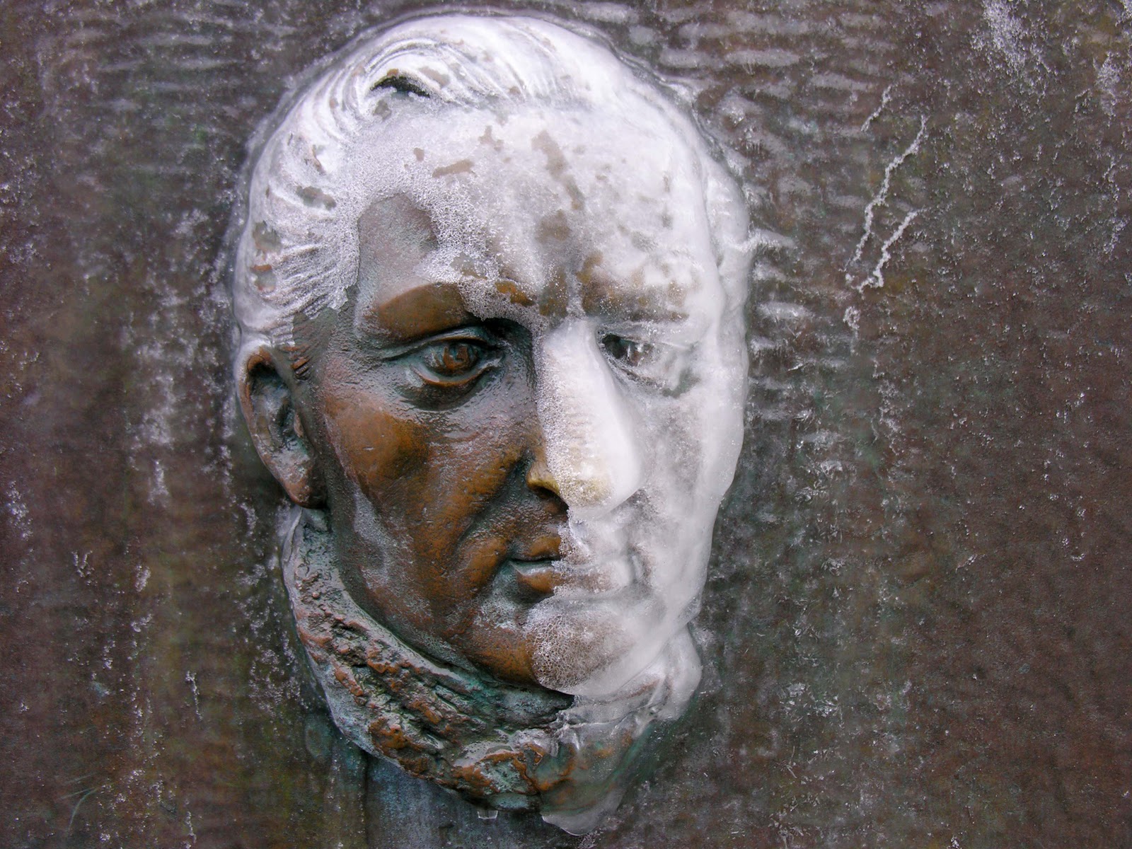 Suzanne Fitz Photos & Musings The