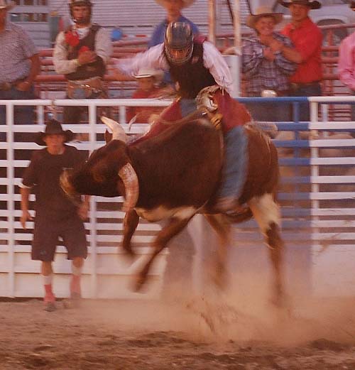 Side Trips: LADIES OF THE RODEO