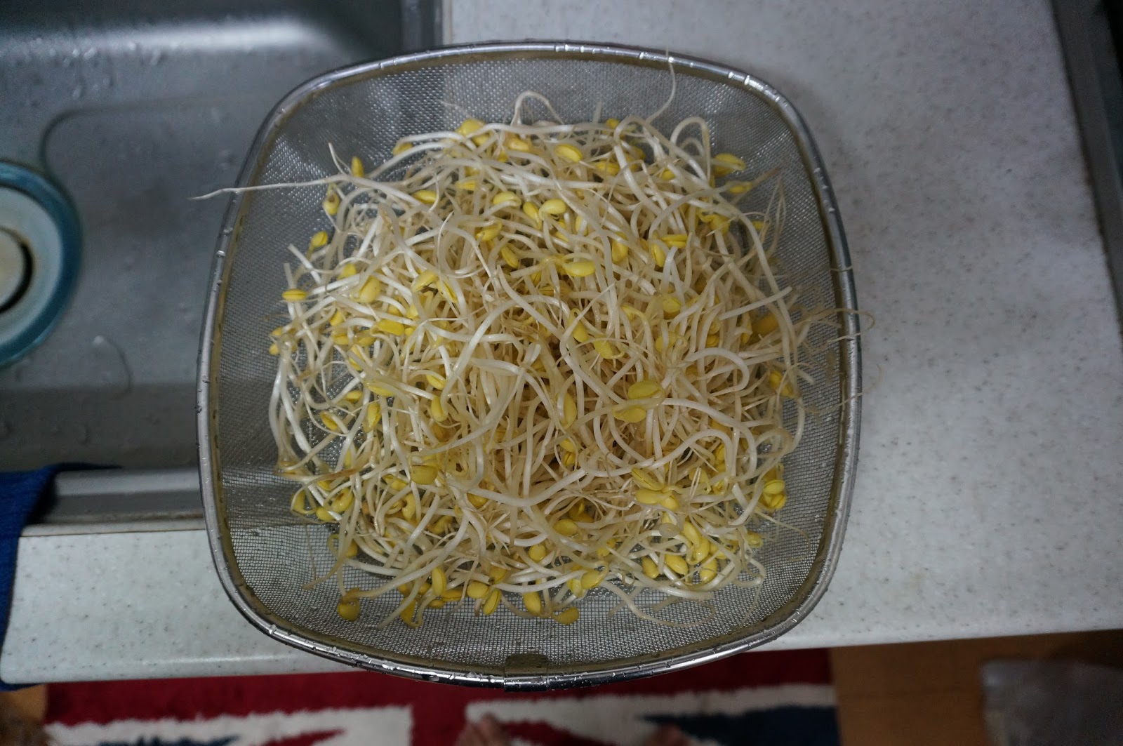 Bean sprout soup(Kongnamulguk), Hangover Soup 콩나물국Cooking Class