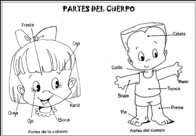 El Rincon De Los Recursos En Educacion Infantil Album De Las Partes Del Cuerpo album de las partes del cuerpo