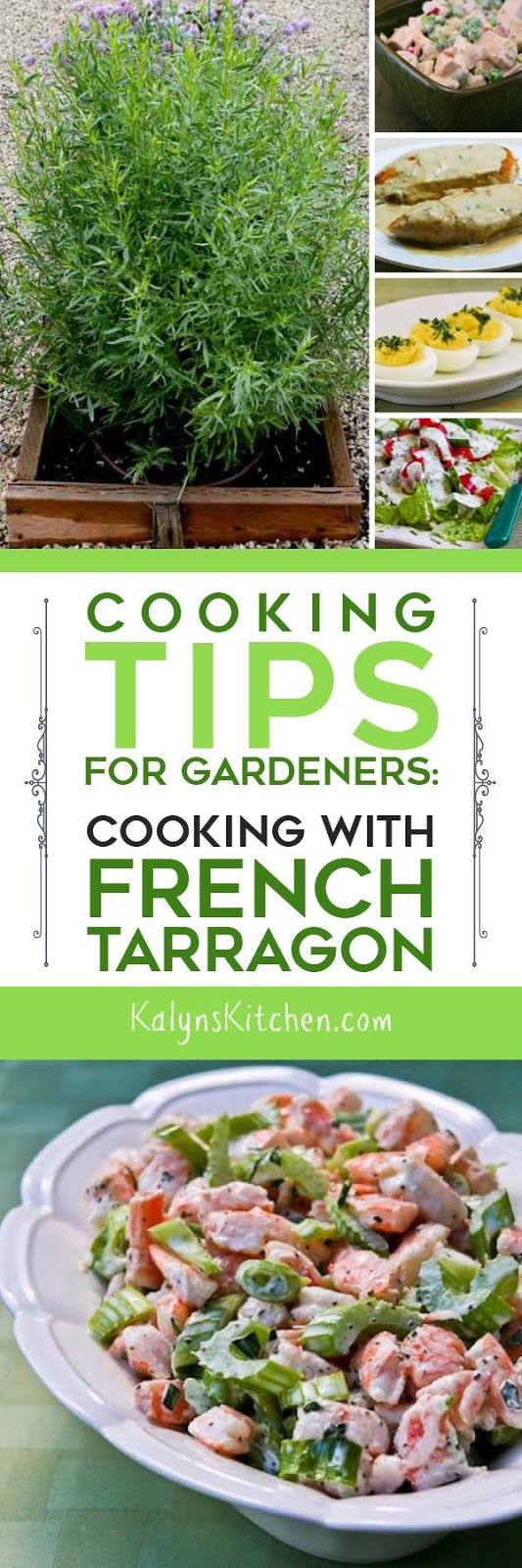 Kalyn's Kitchen® Cooking Tips for Gardeners Cooking with French Tarragon