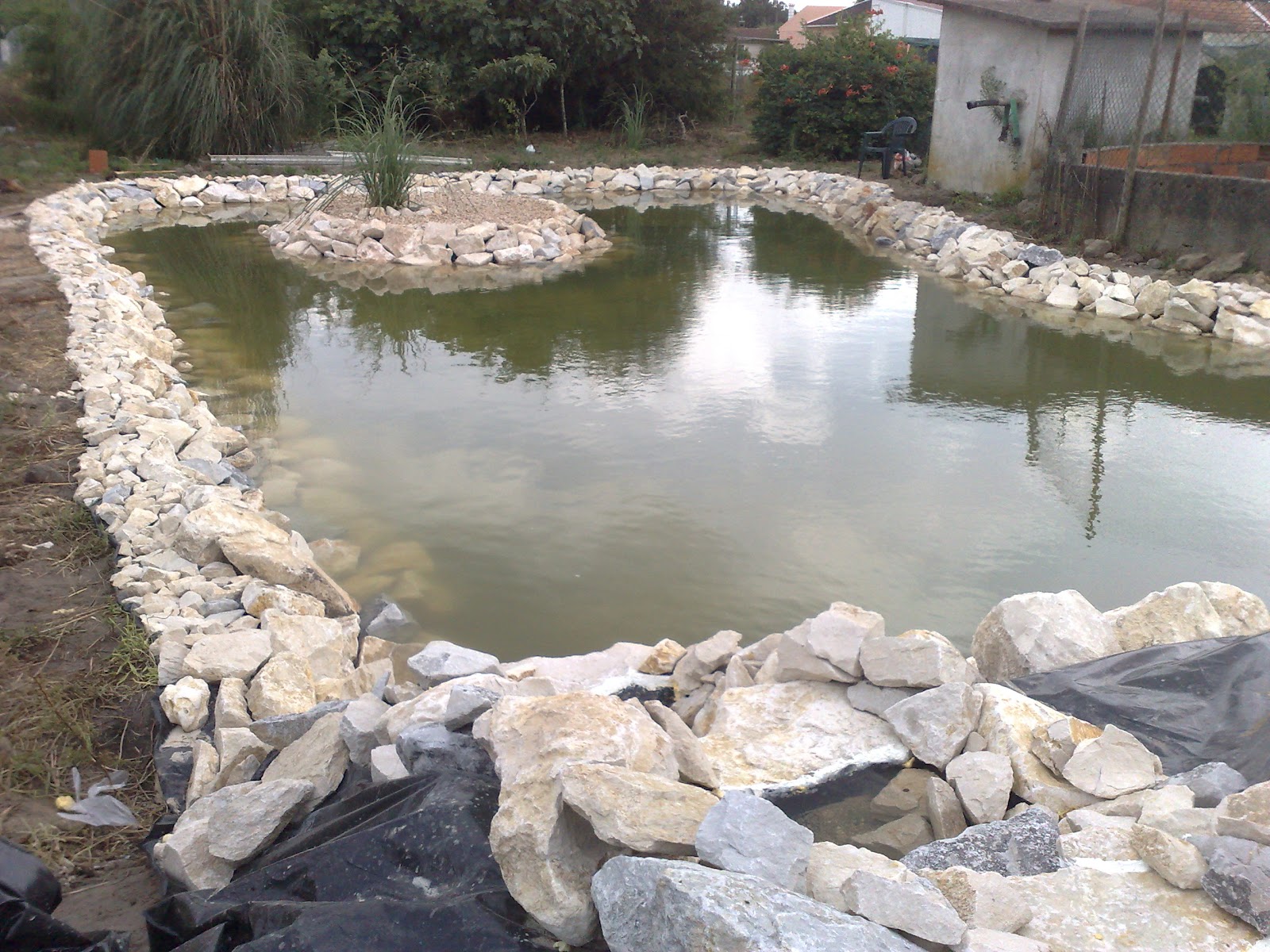 Aves João Ângelo Lago artificial para os patos