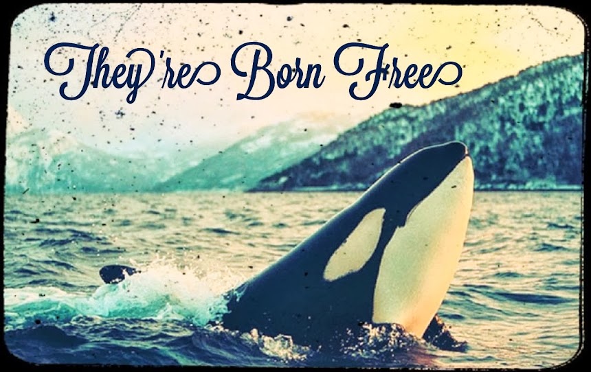 They're Born Free