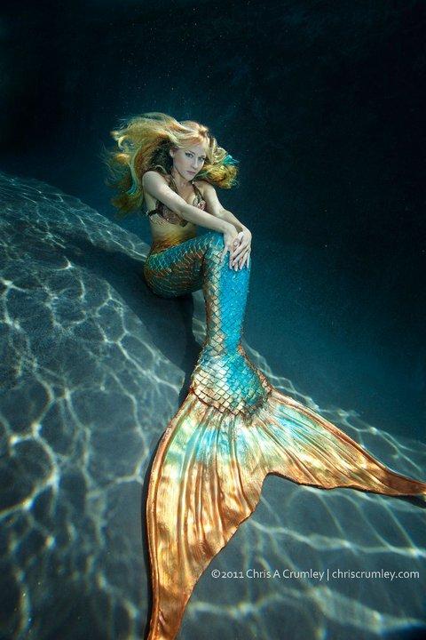  addition we could wear our mermaid bras with silicone mermaid tails