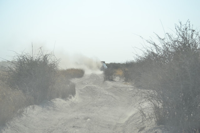 Día 8: De Moremi a Chobe, cruzando Savuti - Botswana y Cataratas Victoria. Viaje por libre de 19 dias (7)