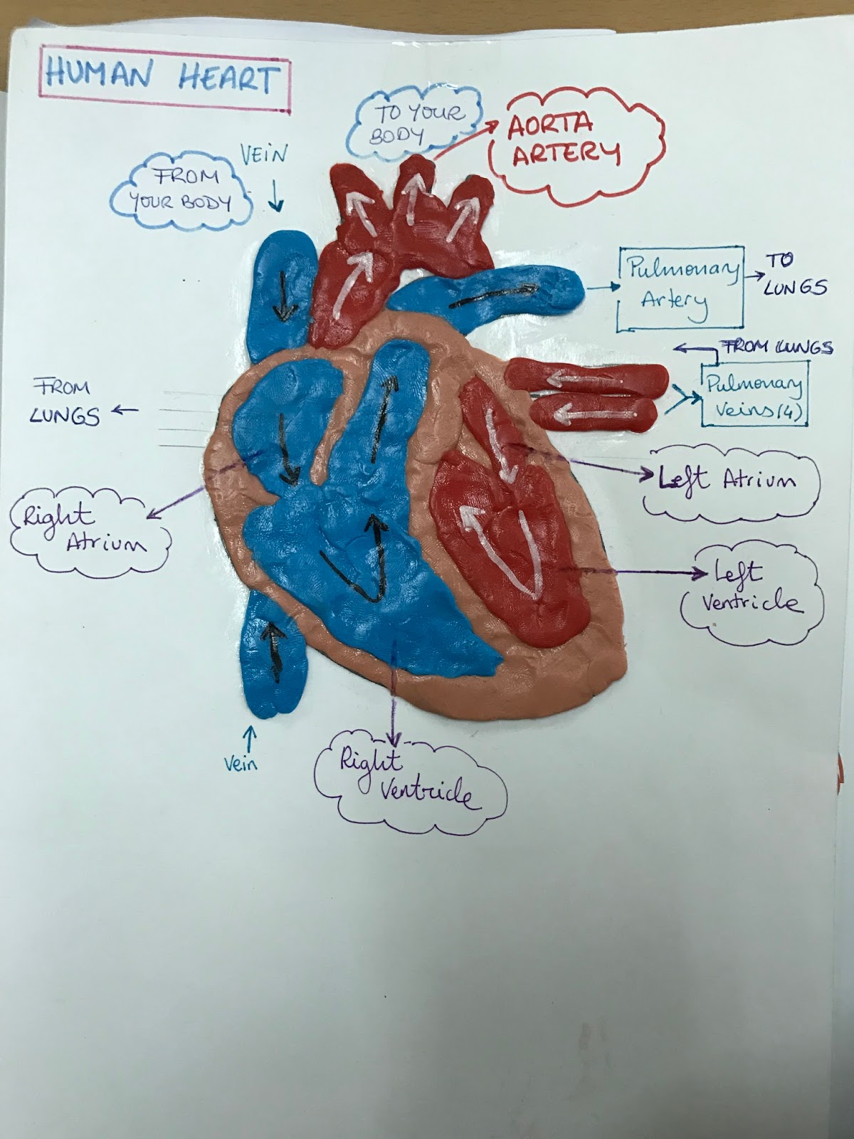 SEXTO Promoción 2.017 The Heart