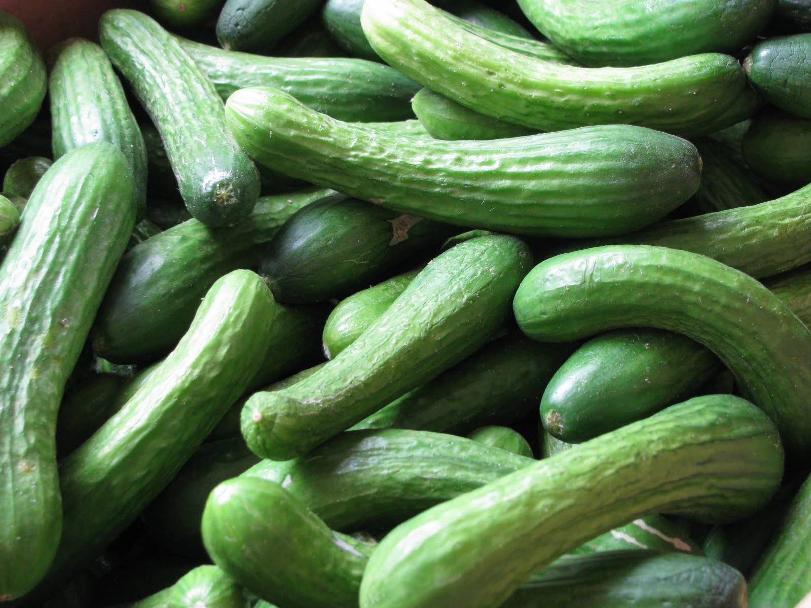 Shim Farm In a Pickled Mess