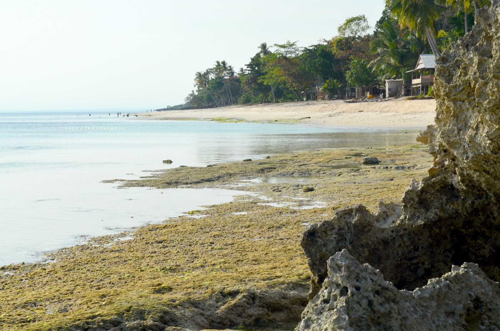 Jelajah Keluarga Suwanto: Pantai Lemo Lemo, Aset Potensial Wisata