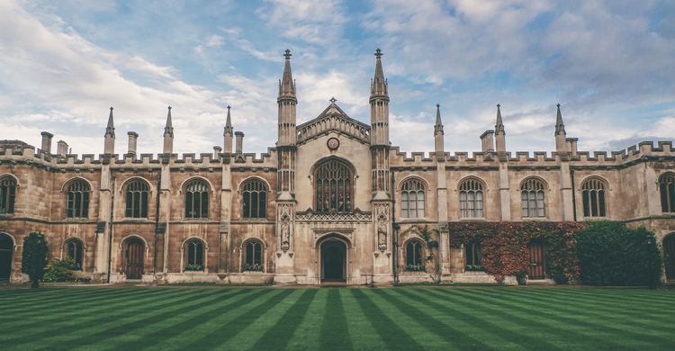 university university