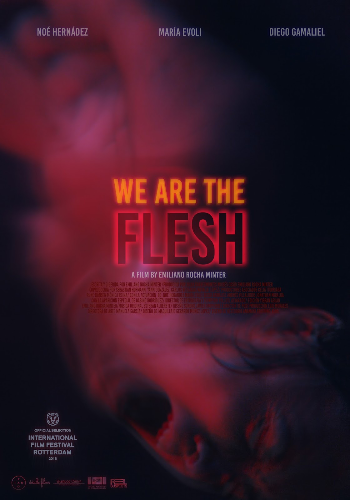 Movie We Are the Flesh (2016)