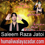 https://www.humaliwalyazadar.com/2018/09/saleem-raza-jatoi-nohay-2019.html