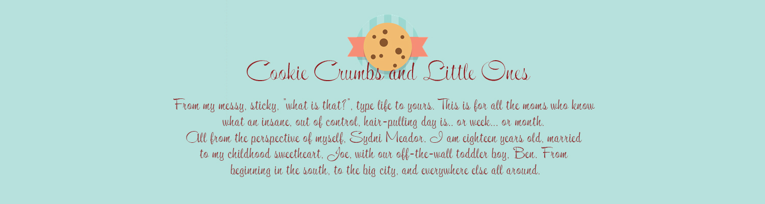 Cookie Crumbs and Little Ones