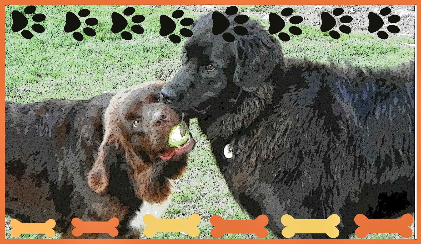 Canine Capers Gross! Worms crawling out of the dogs skin?