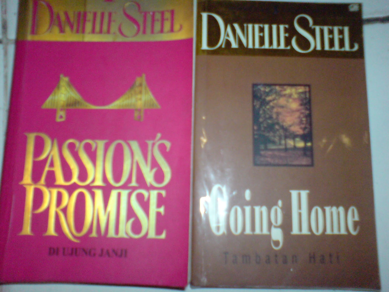 Alasan Populeritas Novel Danielle Steel Terjemahan Di Indonesia