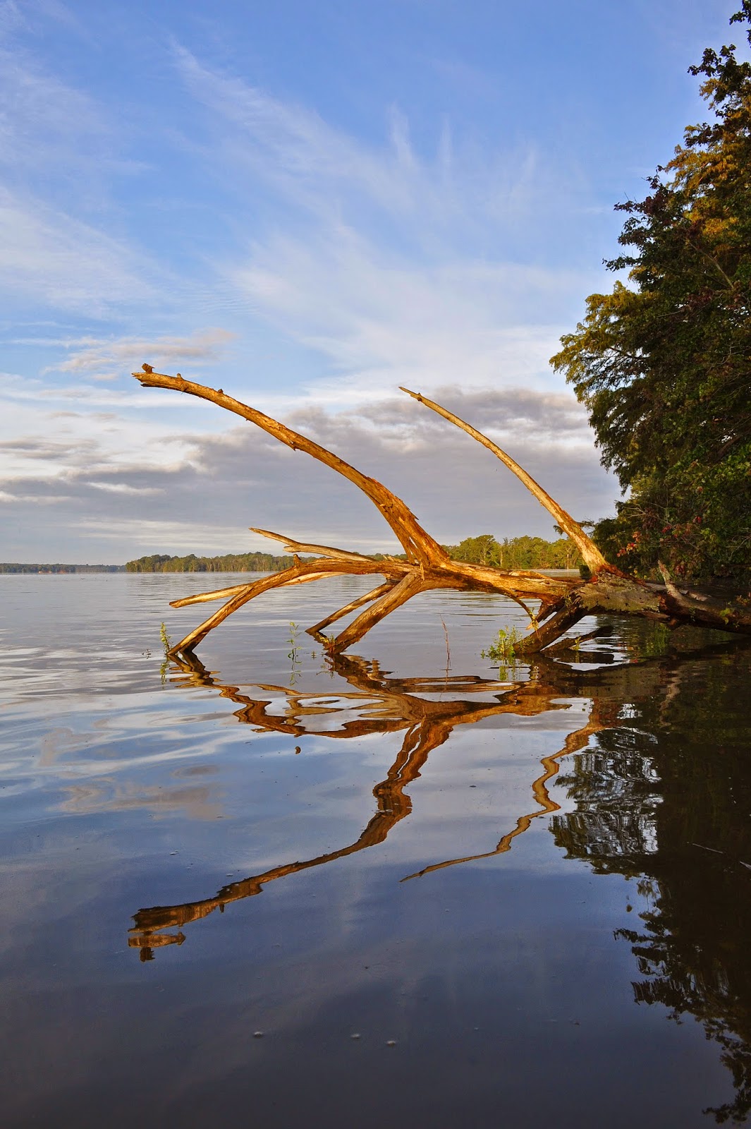 A Tidewater Paddler James River Herring Creek 9/14/14