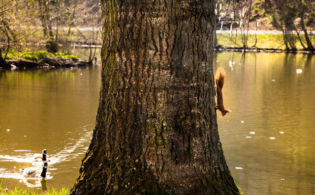 DSC_5720-2.jpg