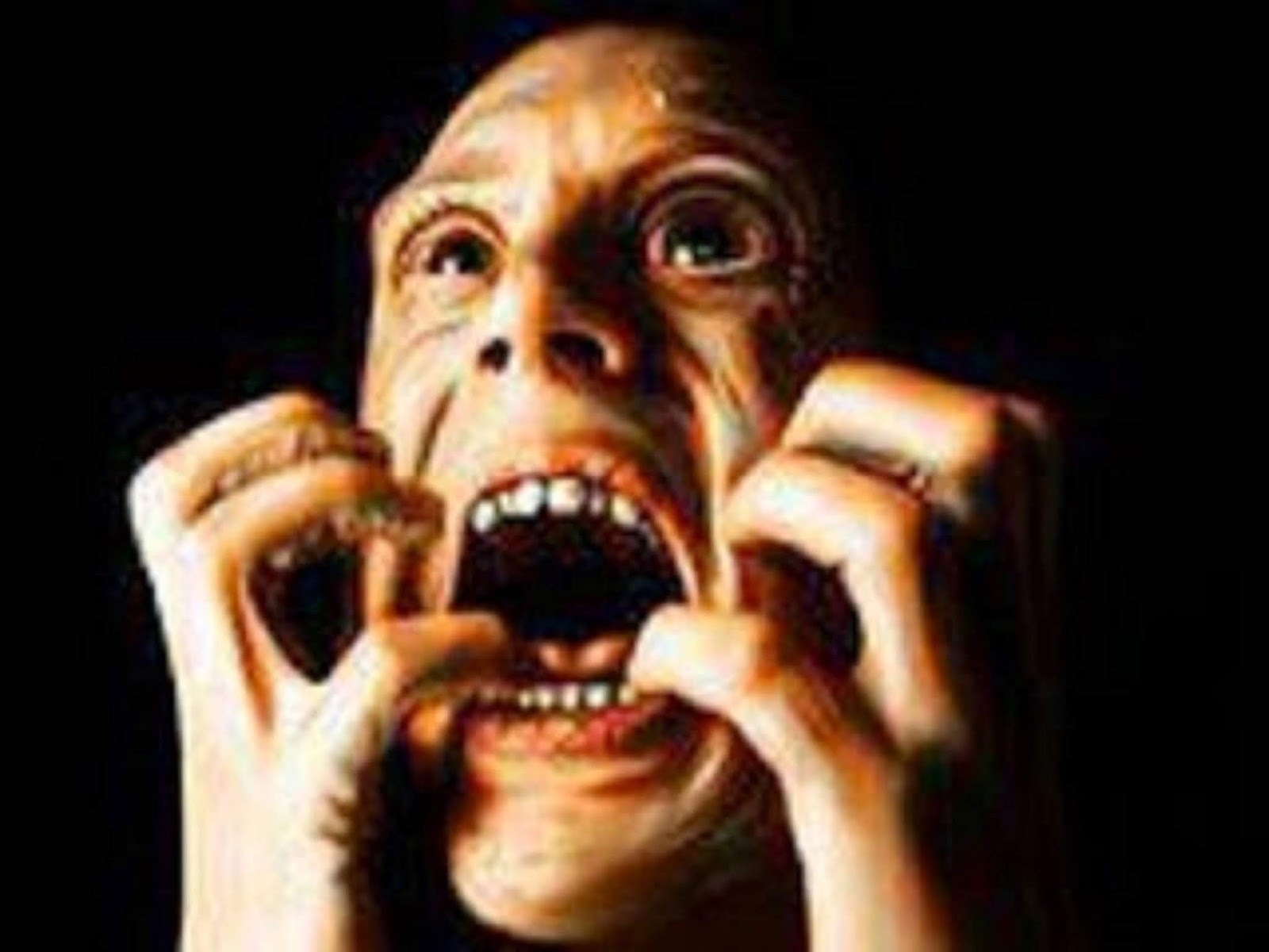 1-484484_454612497891076_1642590083_n_La