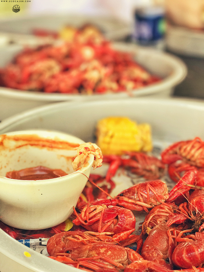 Photo Friday Cajun Pregnancy Milestones Eco Cajun