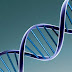Τεστ DNA «θα ανιχνεύει γρήγορα τον καρκίνο»
