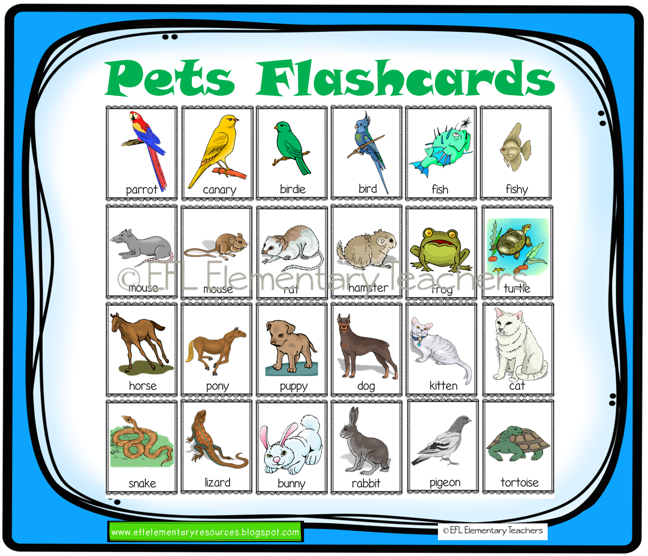 Pets vocabulary. Карточки Pets. Pets Flashcards. Английский язык Pets. Pet animals Flashcards.