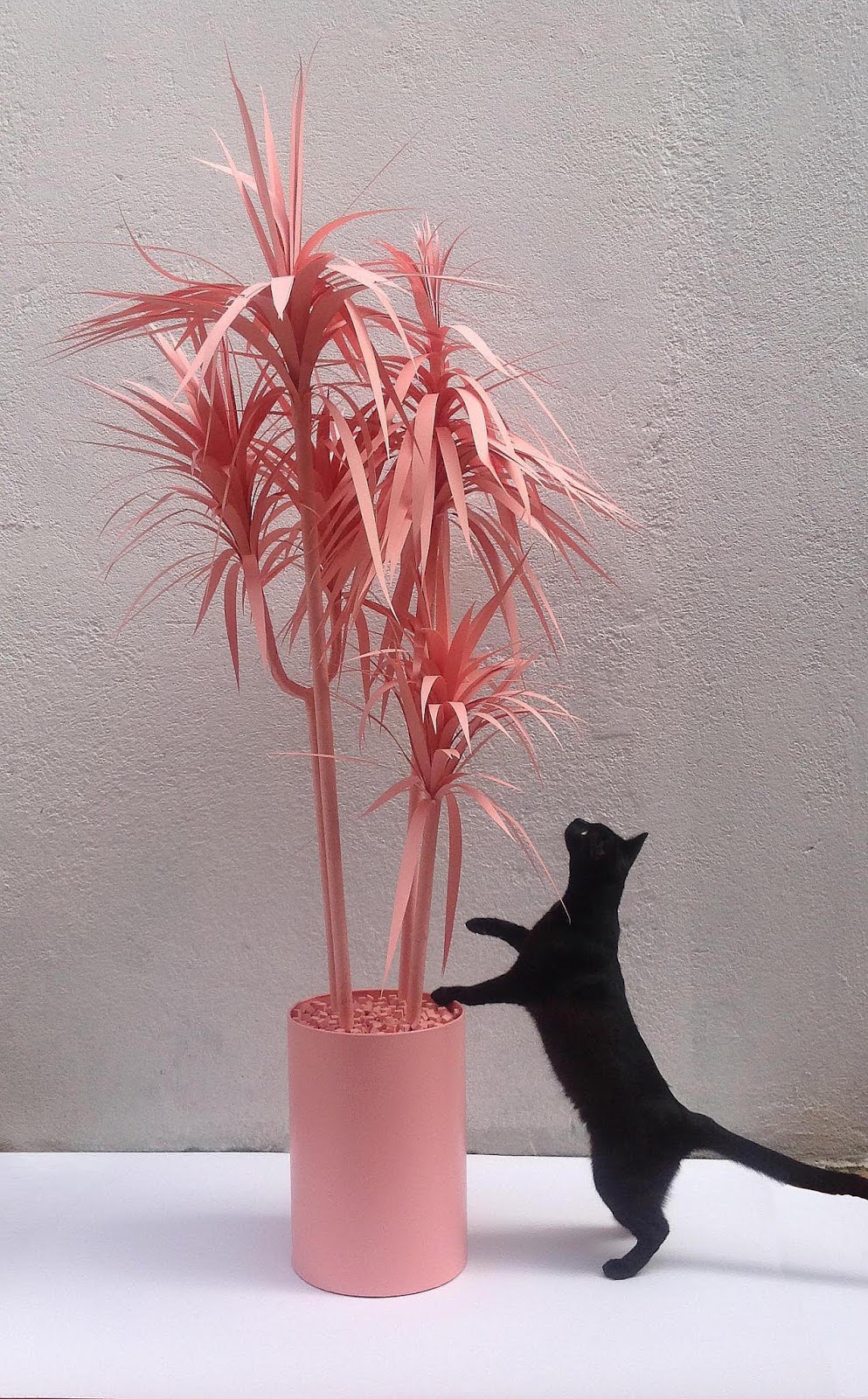 Papel3D Design: GoCase - Fortaleza