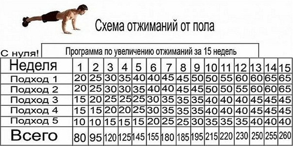 Спортивное упражнение: ПРОГРАММА ОТЖИМАНИЙ ОТ ПОЛА ЗА 15 НЕДЕЛЬ