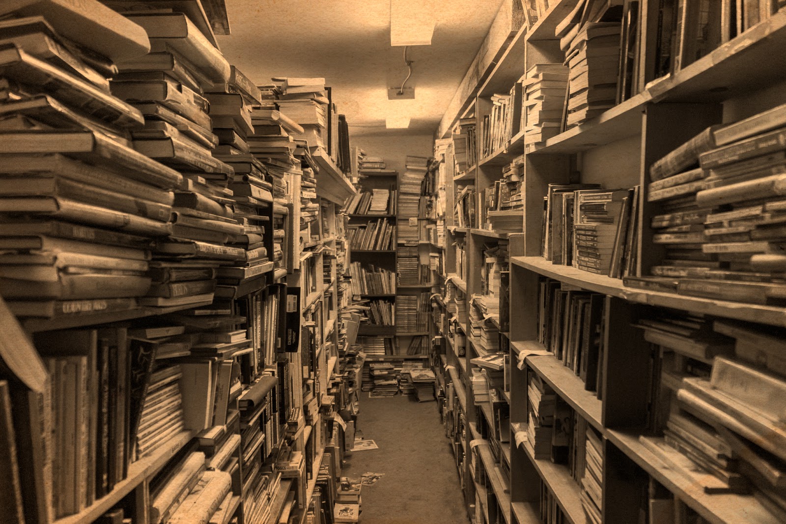 The AC is On A Visit to One of Canada's Largest Bookstores