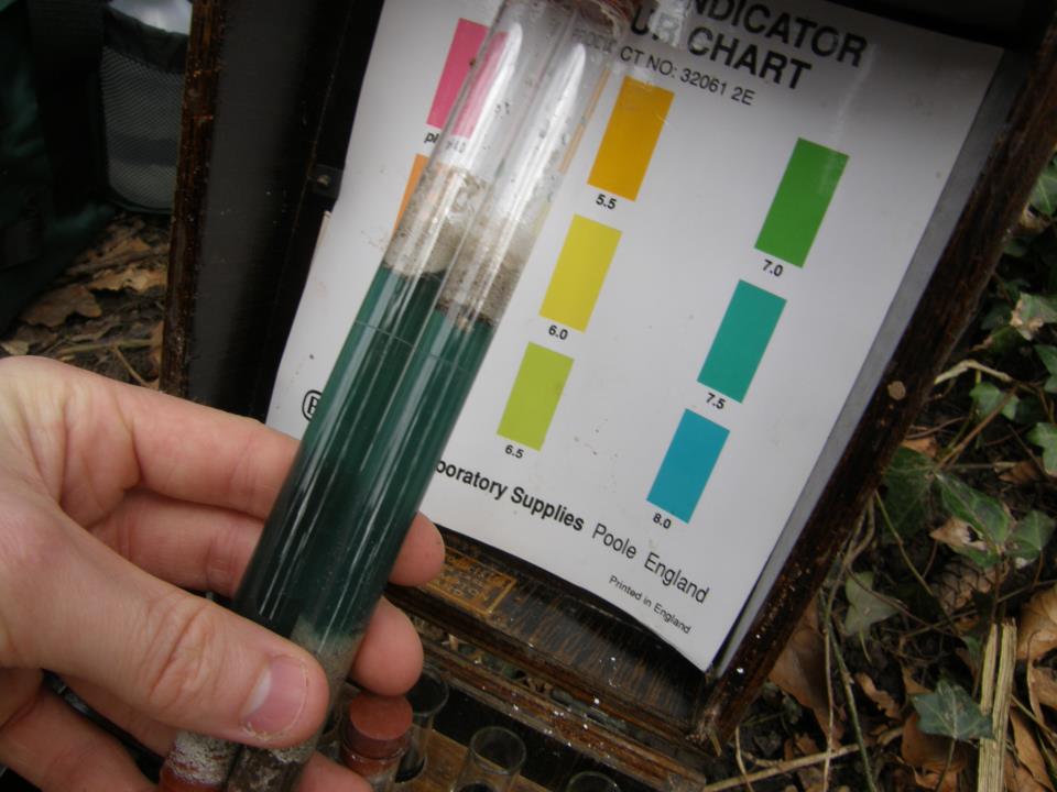 Forest Schools Soil pH Tests