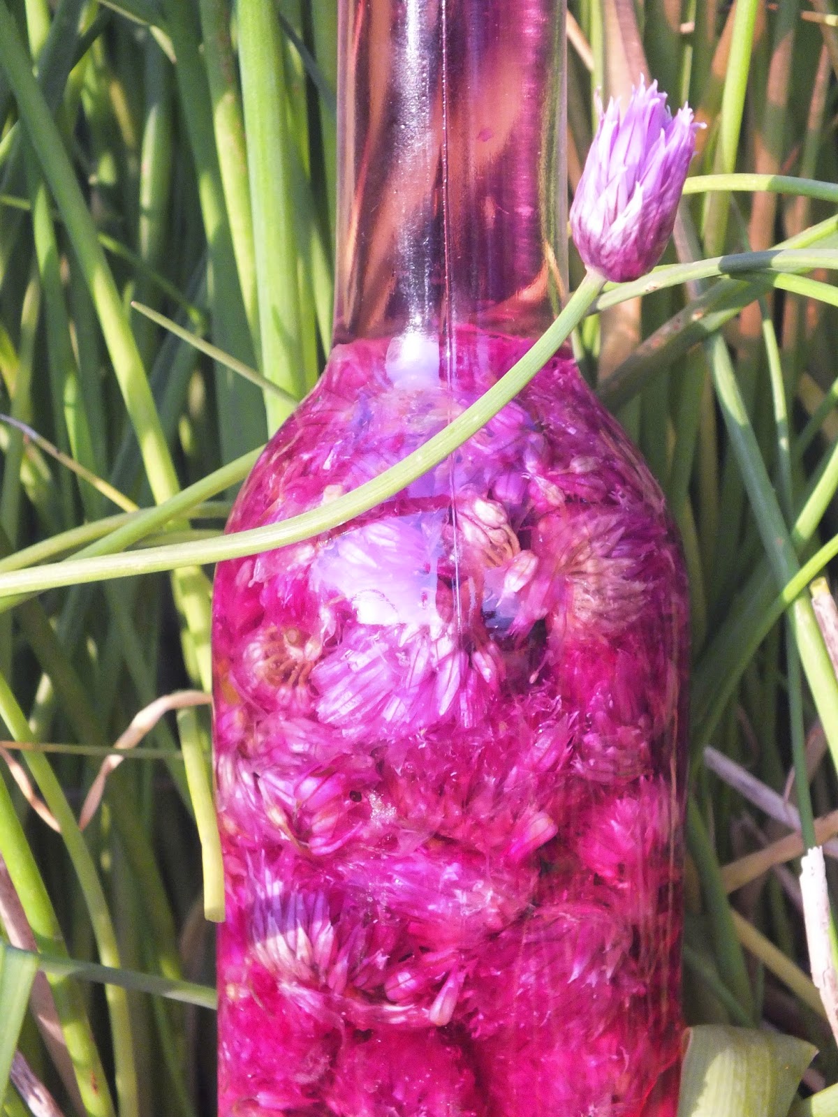 Edible flowers Chive flower vinegar.