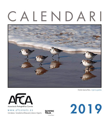 CALENDARI AFCA 2019