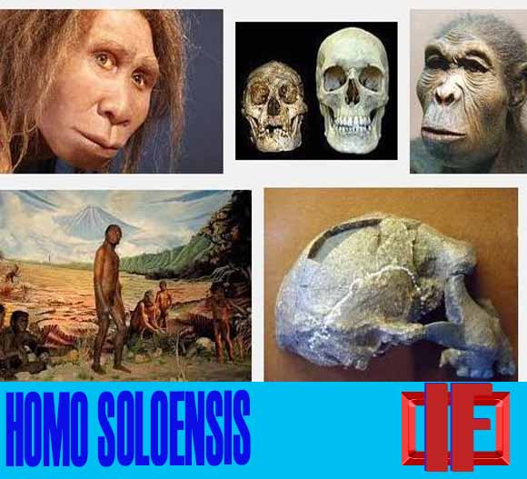 Sejarah Manuasia Purba Homo Soloensis Dan Ciri Ciri Homo Soloensis Sejarah Manuasia Purba Homo Soloensis Dan Ciri Ciri Homo Soloensis