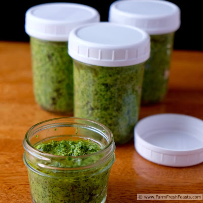 http://www.farmfreshfeasts.com/2015/09/mustard-greens-pesto-with-pecans-and.html