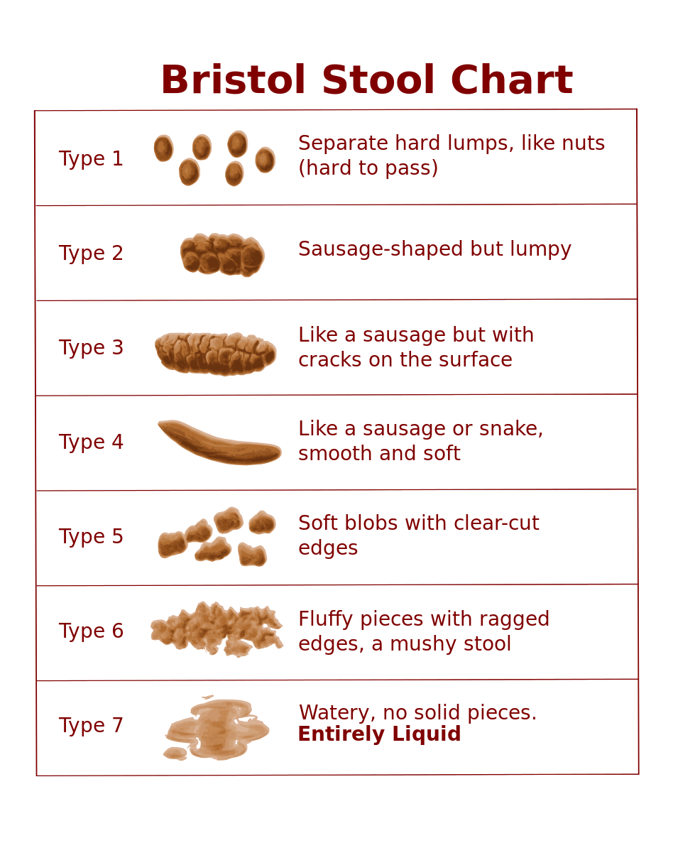 Processed Poop Health in a Minute. Your Health, Your Team.: Poo Taboo…Constipation