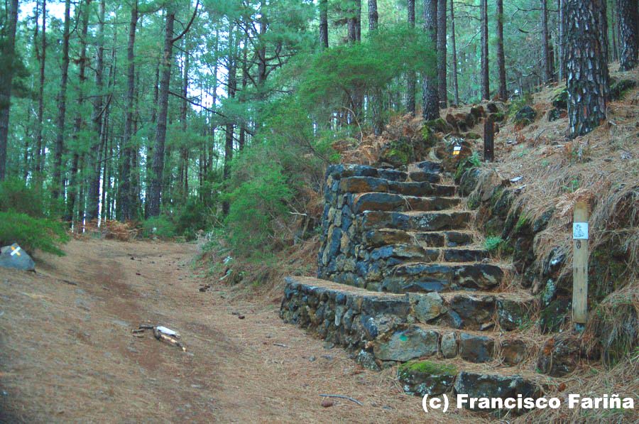 FRANCISCO FARIÑA II: LA VICTORIA DE ACENTEJO - LAS LAGUNETAS