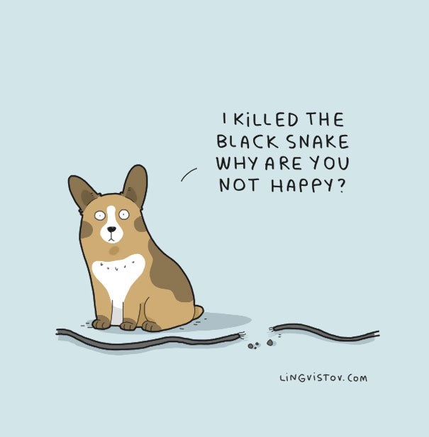 30 Hilarious Comics About Animals That Just Get Us