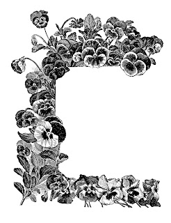 flower pansy corner design digital illustration crafting