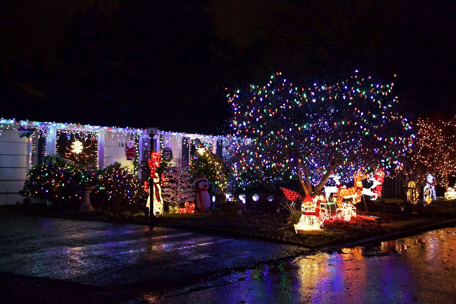 Shoreline Area News Christmas lights