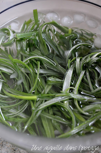 Salade d'oignons verts épicés à la coréenne (Pa muchim)