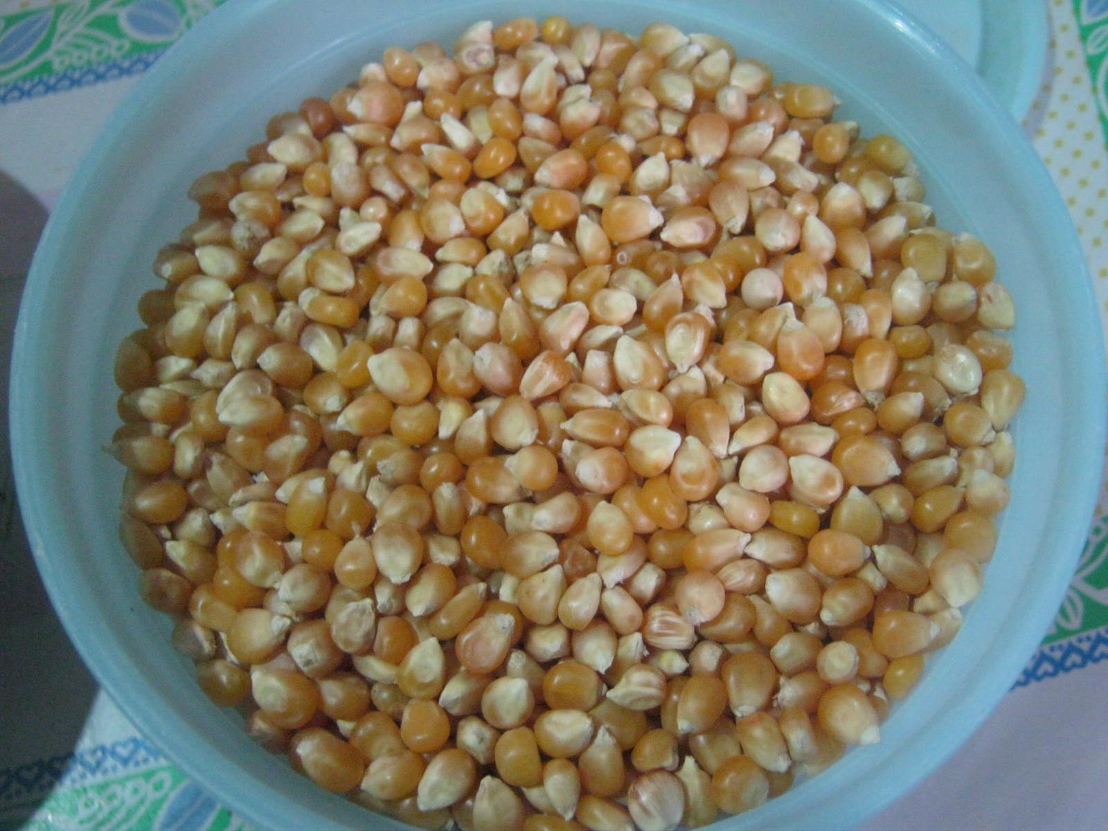 Popping Corn Popping Corn Facts