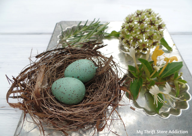 repurposed French tart pan naturescape