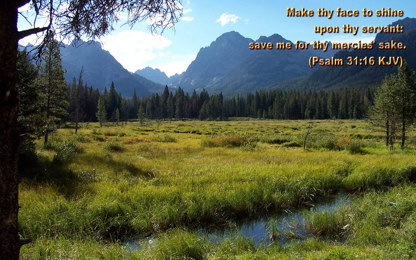 BEAUTIFUL NATURE PICTURES "Nature Heals The Mind": Forests... BEAUTIFUL NATURE PICTURES "Nature Heals The Mind": Forests...