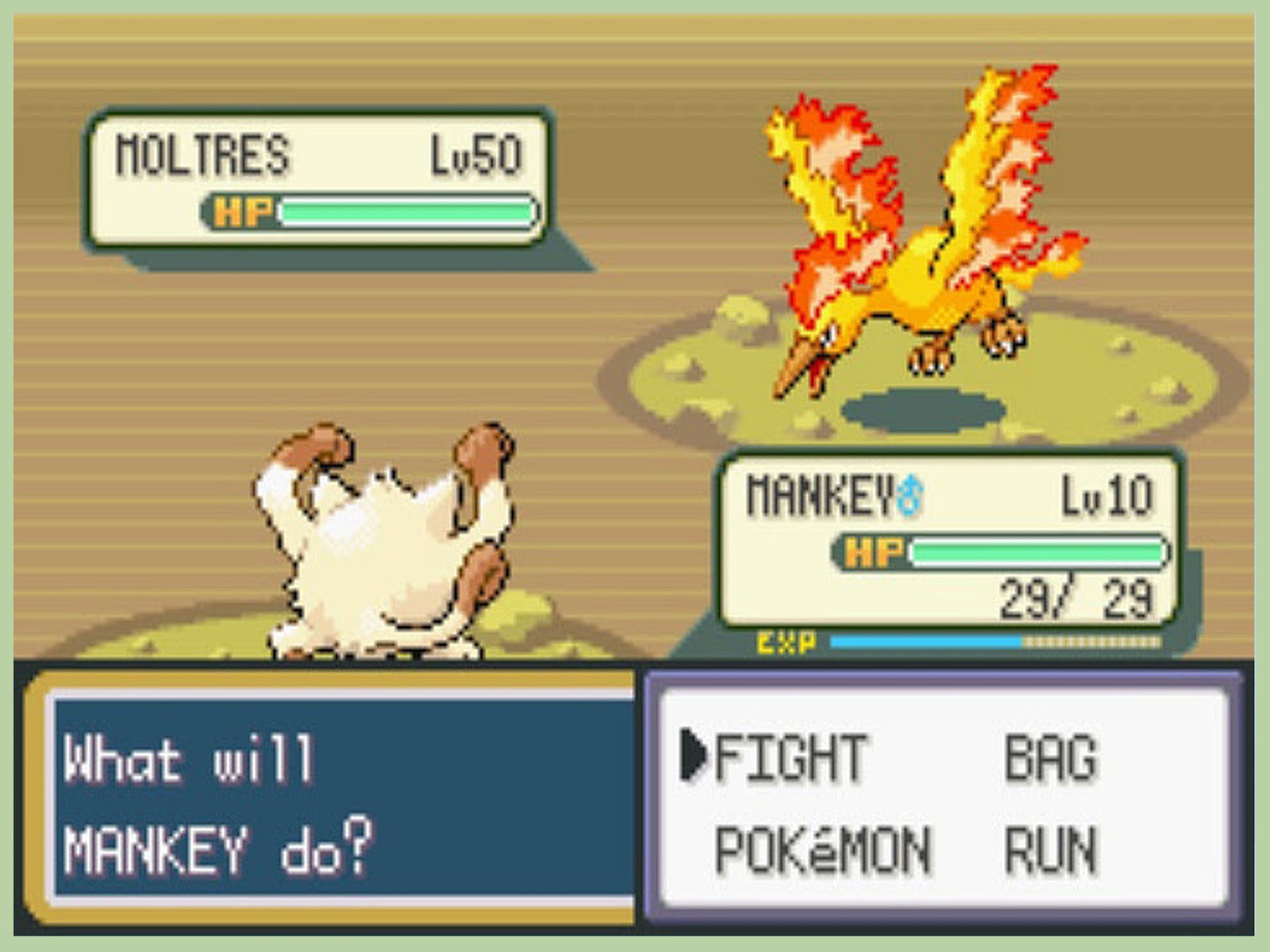 Pokemon Pokemon