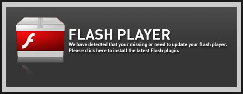 Flash Player 12.4.402.287 Free Download For PC