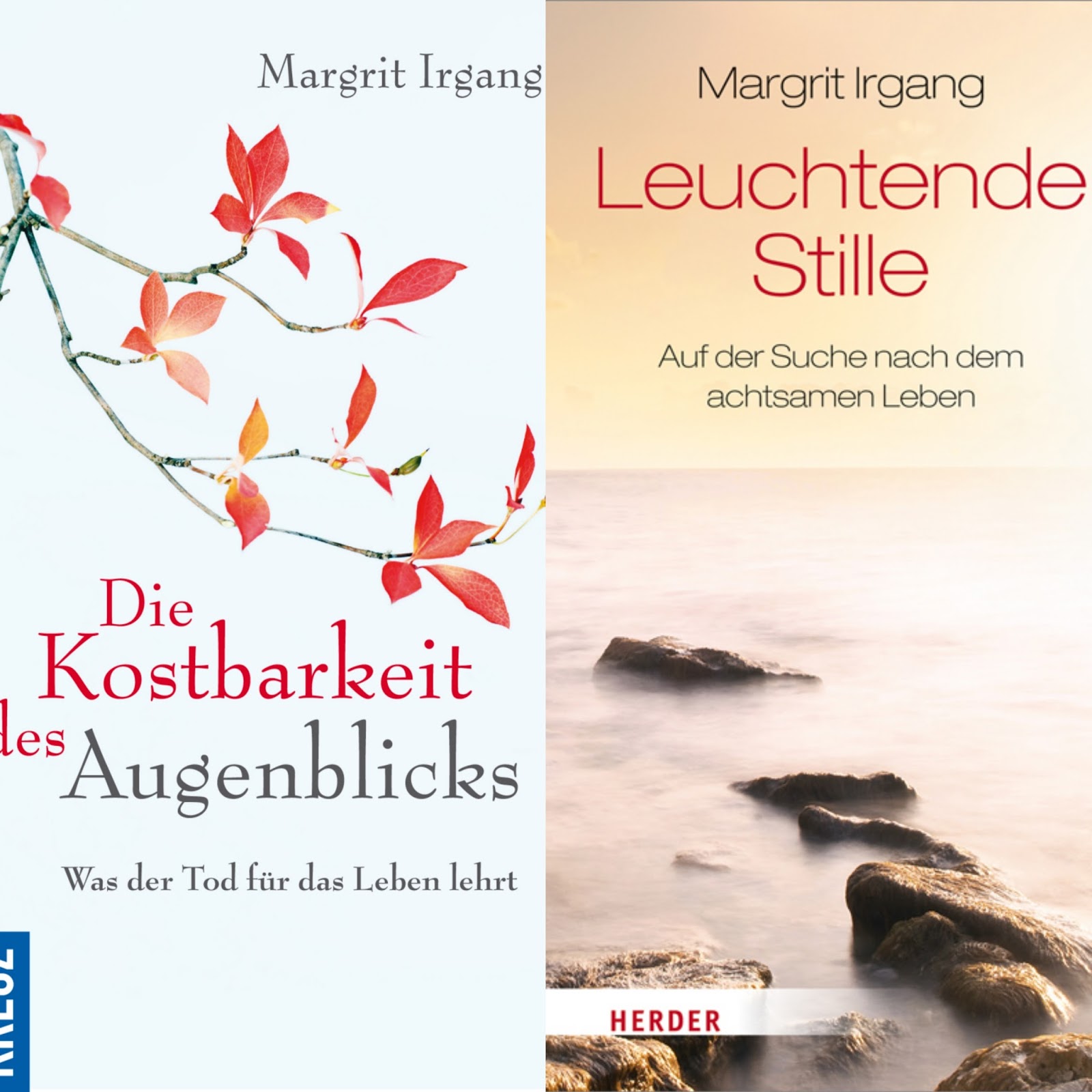 11 Und 12 April Buch Mit Herz Die Online Lesung Fur Das