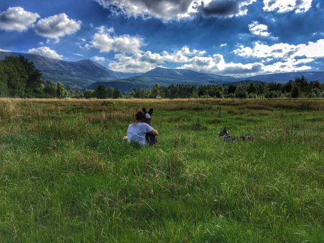 www.zwidokiemnagory.pl karkonosze z psem, karpacz z psem, podróże z psem