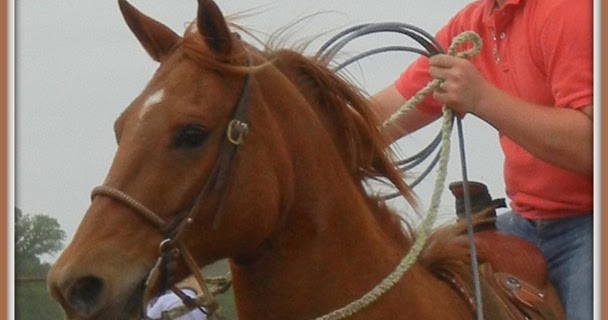 Meggie On The Prairie: Cowboys, Cowgirls, Horses and Team Roping
