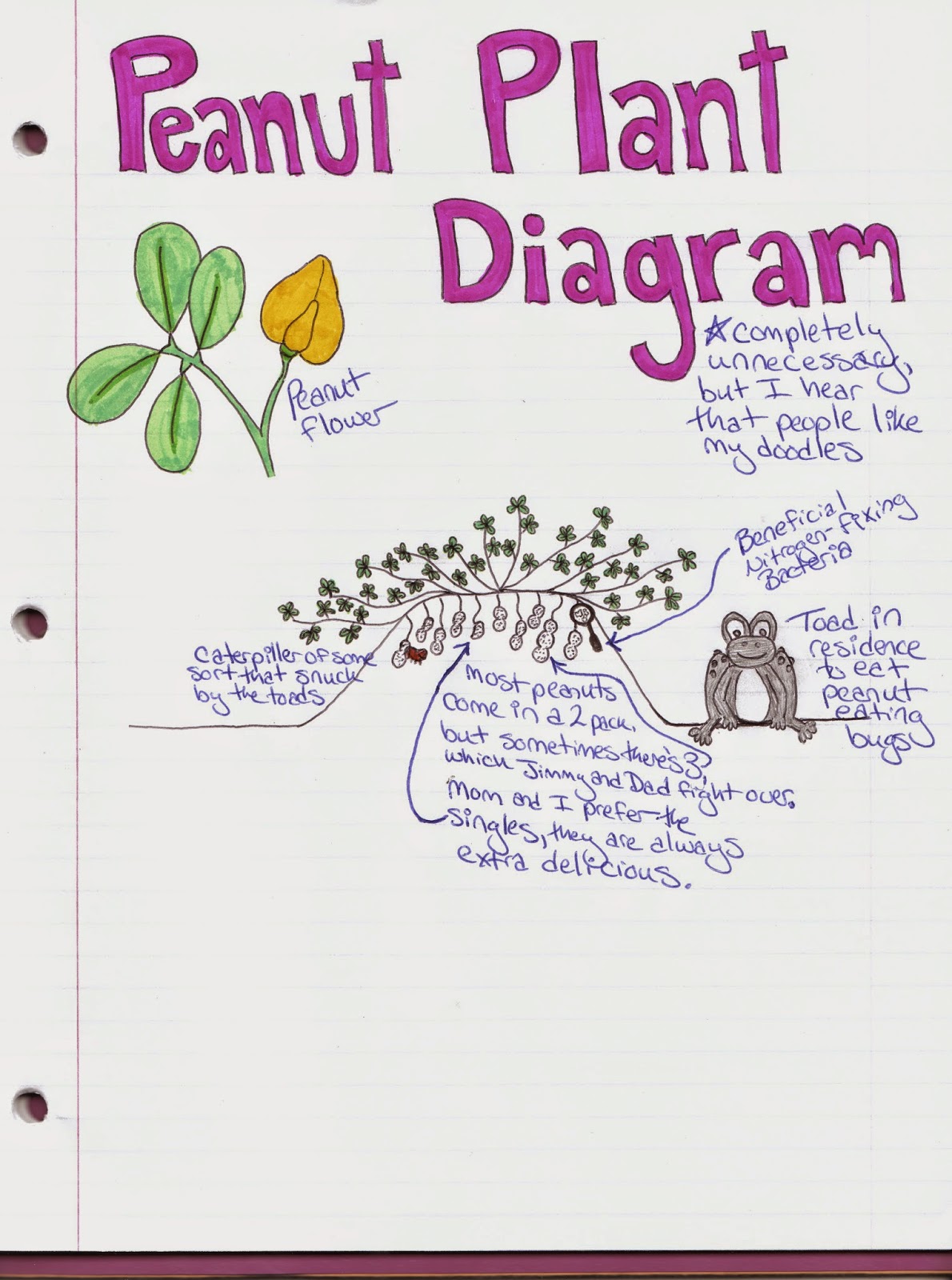 Lettuce Grow It Weston Family Farm Pickin' Peanuts