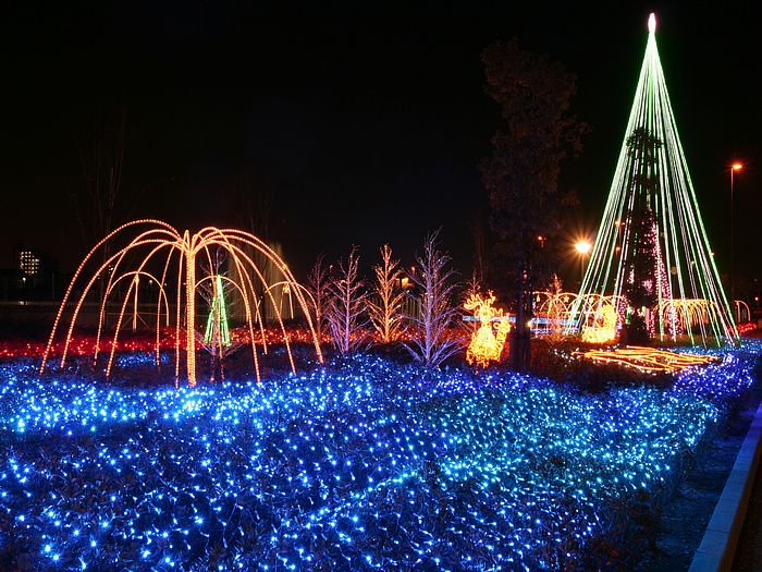 http://2.bp.blogspot.com/-Ym2ClGEnDg0/Ts_4MA54T2I/AAAAAAAAb0g/mWFpzSHpQ8A/s1600/Christmas-Lights-1.jpg