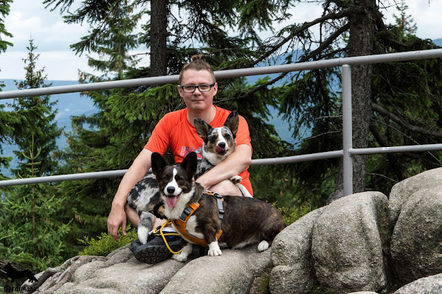 pies na szlaku karkonosze z psem, pies na szlaku, góry z psem