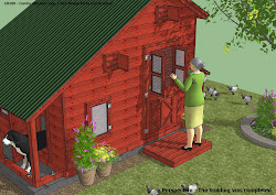 plans dog coop combo chicken construction cb100 shed insulated building completed perspective roof